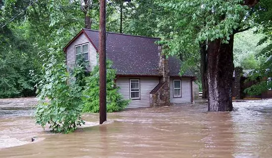 Trees and House covered by Water